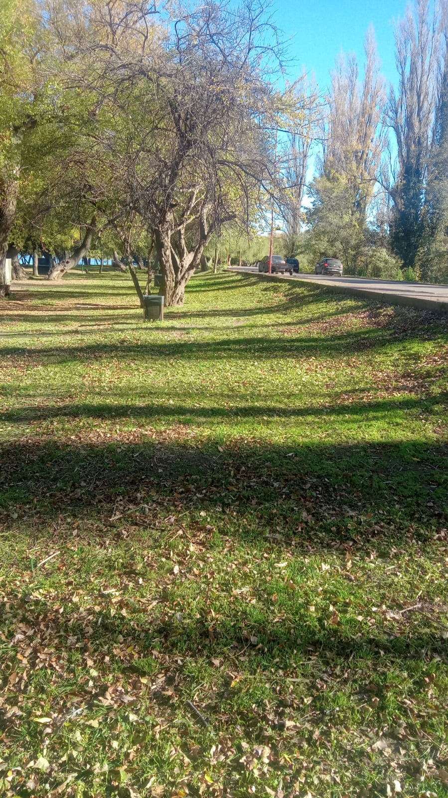 CONTINÚAN LAS TAREAS DE MANTENIMIENTO DE ESPACIOS VERDES