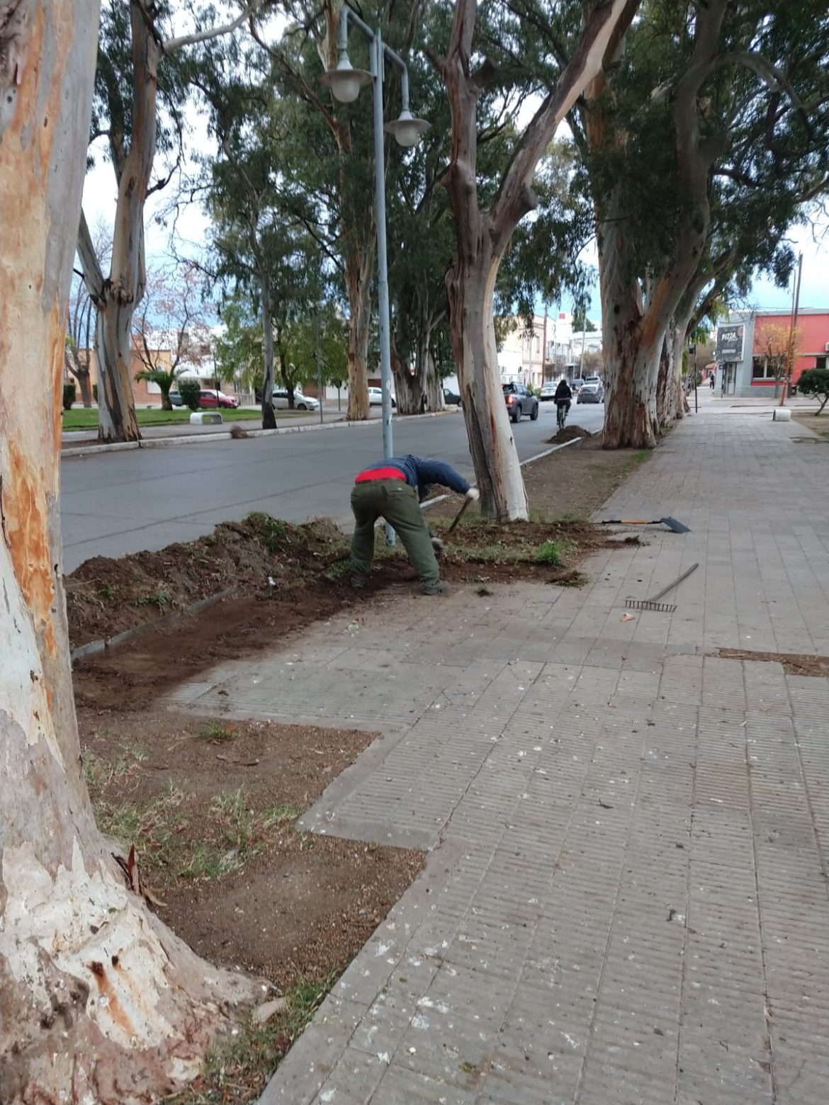 SIGUEN LAS TAREAS DE RECUPERACIÓN DE ESPACIOS VERDES EN PATAGONES