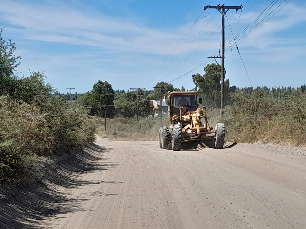 TRABAJOS DE MANTENIMIENTO EN CAMINOS DEL DISTRITO