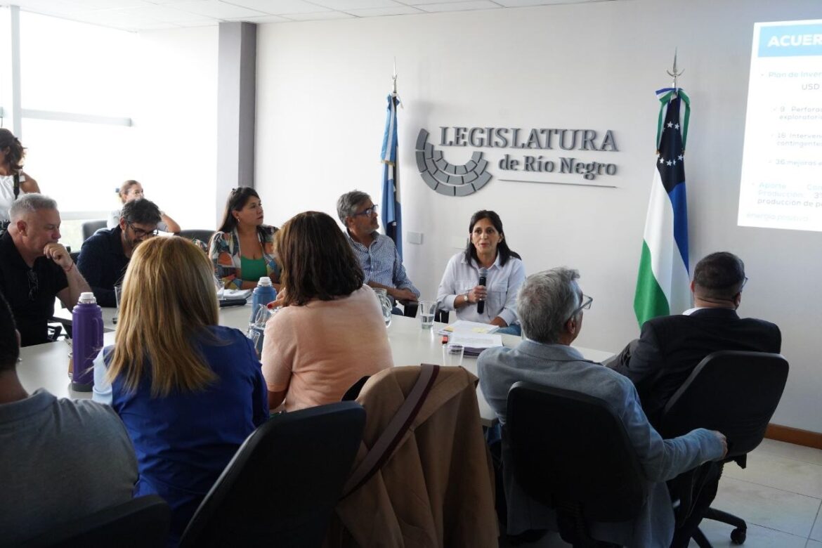  LOS LEGISLADORES RIONEGRINOS ANALIZARON EN COMISIÓN LOS TEMAS QUE SE TRATARÁN ESTE VIERNES