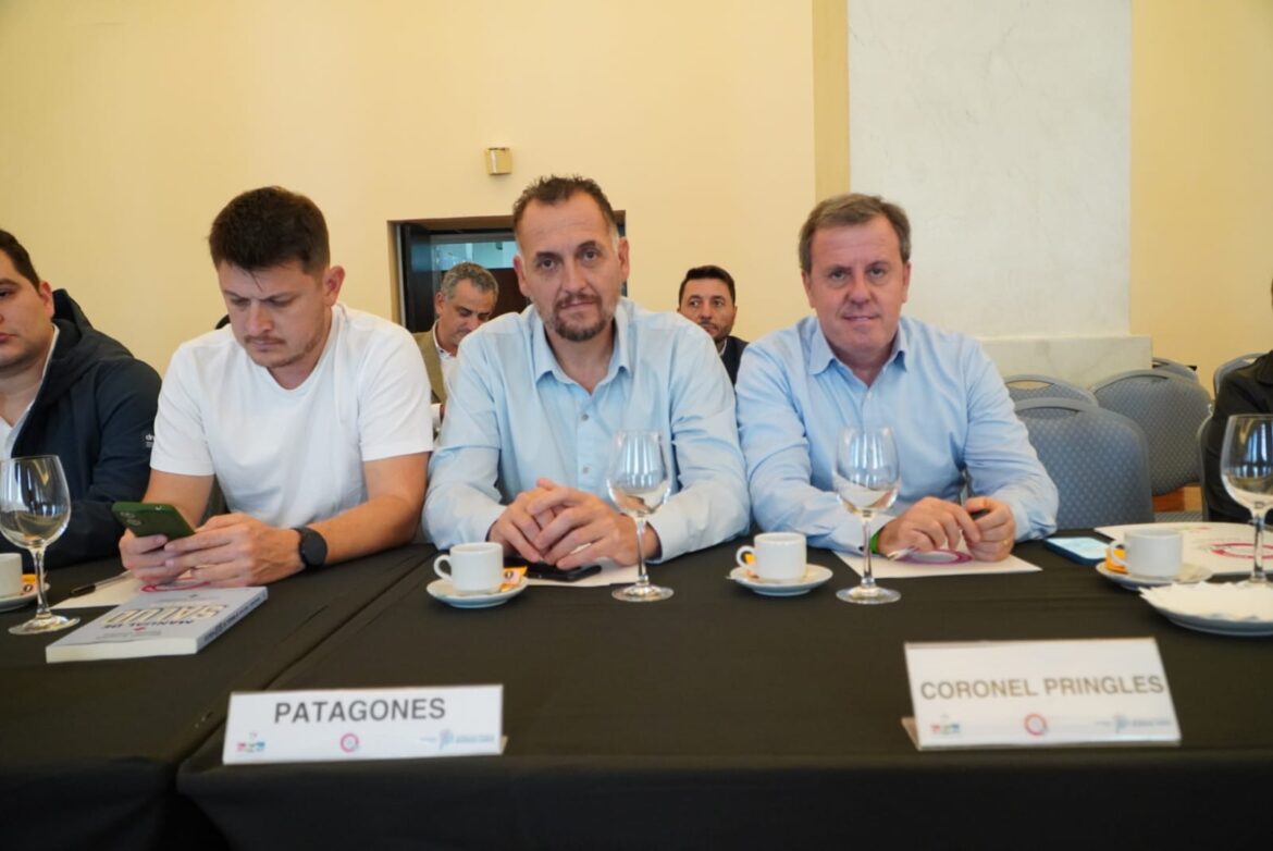 PATAGONES PRESENTE EN LA ASAMBLEA DEL CONSEJO DE SALUD DE LA PROVINCIA