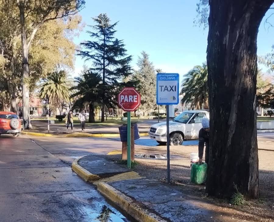 EMBELLECIMIENTO DE PLATAFORMAS DE TAXIS EN CARMEN DE PATAGONES