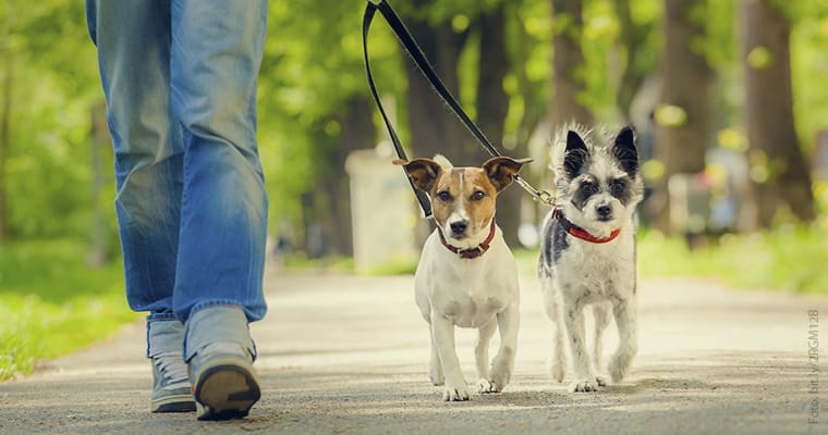 TENENCIA RESPONSABLE Y CUIDADO DE LA SALUD PÚBLICA