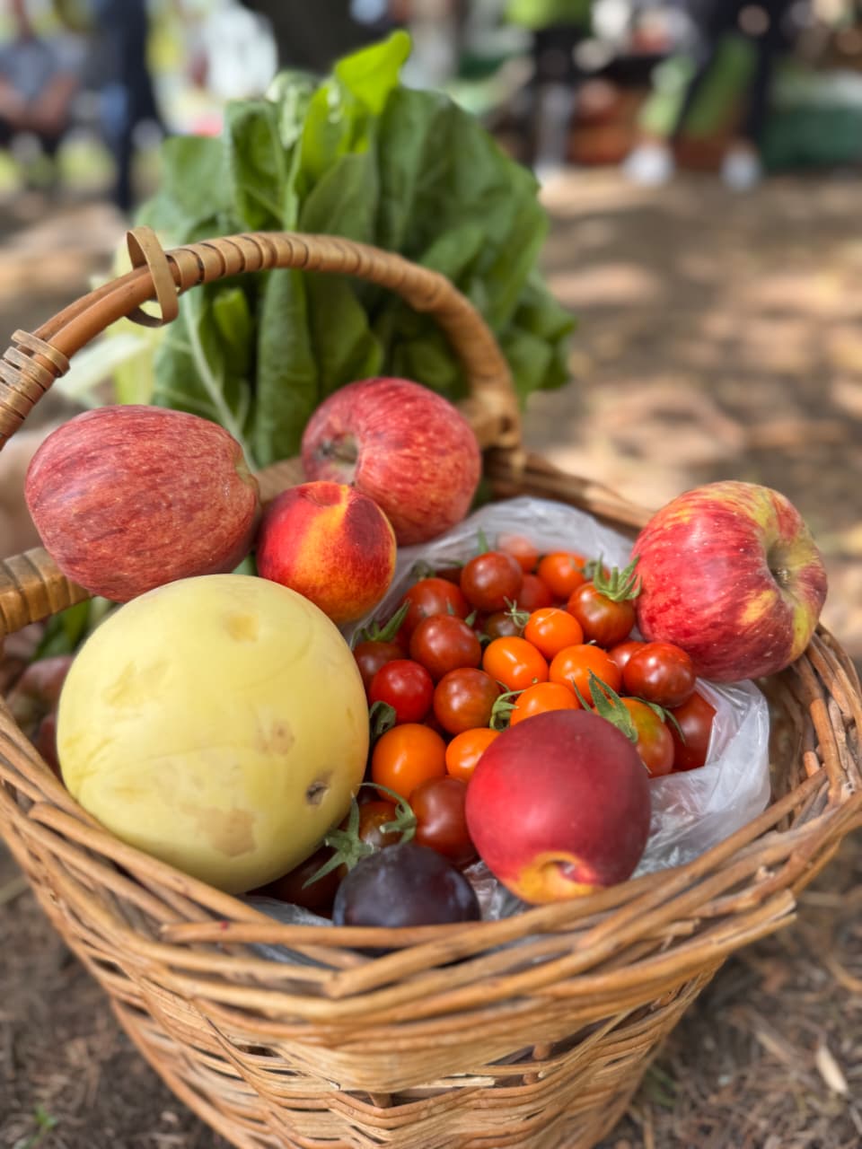 SE PONE EN MARCHA INICIATIVA PARA ACERCAR ALIMENTOS AGROECOLÓGICOS A LOS BARRIOS
