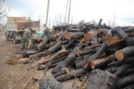 ABREN INSCRIPCIONES AL PLAN CALOR 2026