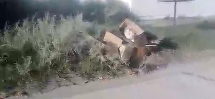 PREOCUPACION POR EL CRECIMIENTO DE MICROBASURALES