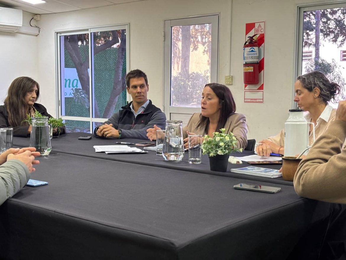 LA MUNICIPALIDAD DE VIEDMA AVANZA EN EL PROGRAMA DE ASFALTO 2026